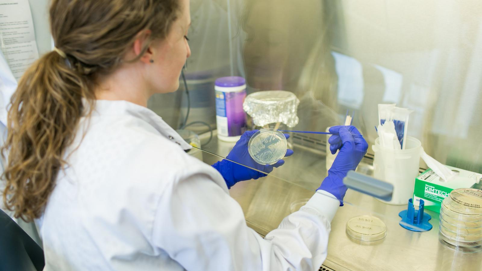 Research Areas Infectious Diseases